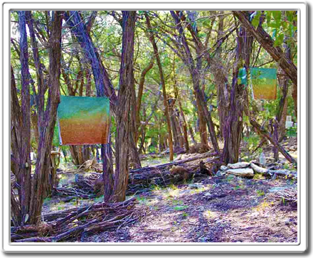 Austin Texas Land Art
